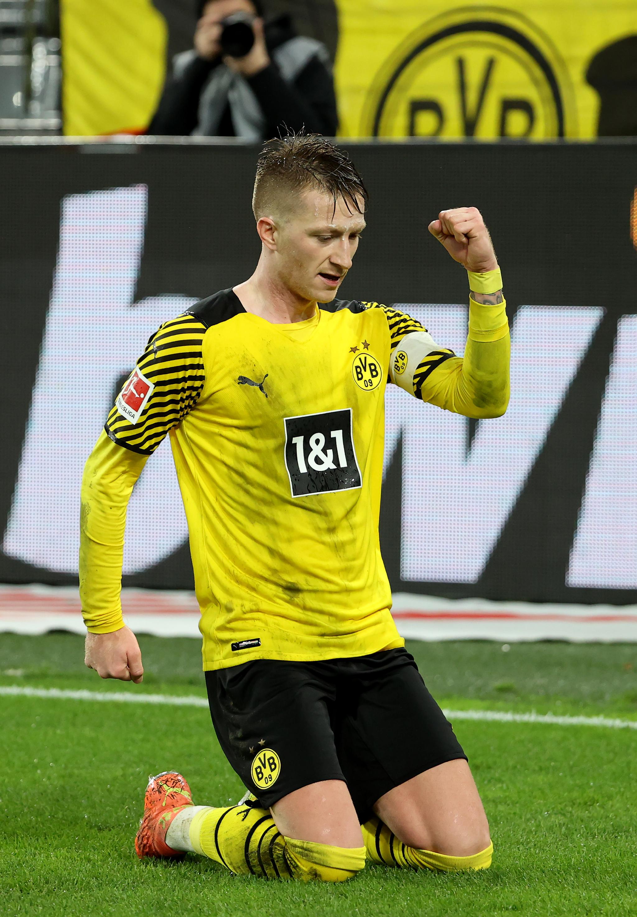 Wet Double Wide-Belt Polish Mac